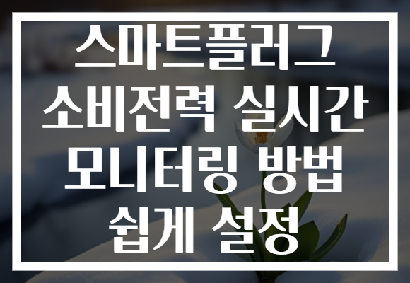 스마트플러그 소비전력 실시간 모니터링 방법 쉽게 설정