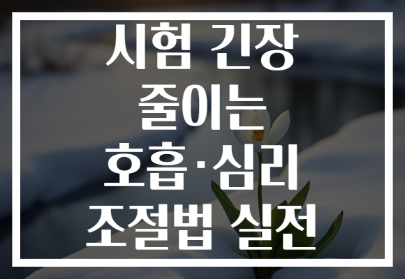 시험 긴장 줄이는 호흡·심리 조절법 실전