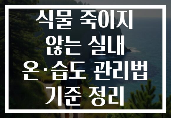 식물 죽이지 않는 실내 온·습도 관리법 기준 정리