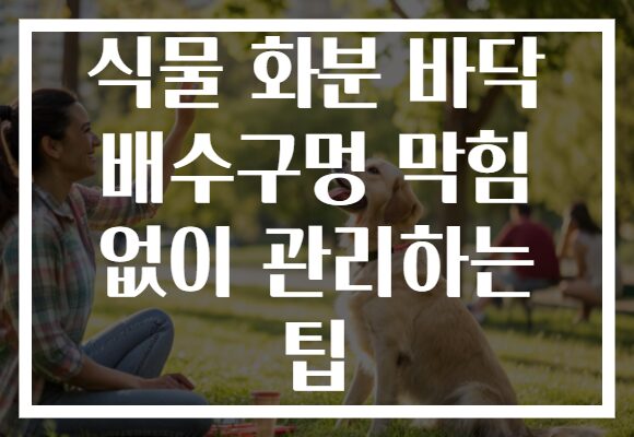 식물 화분 바닥 배수구멍 막힘 없이 관리하는 팁