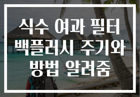식수 여과 필터 백플러시 주기와 방법 알려줌