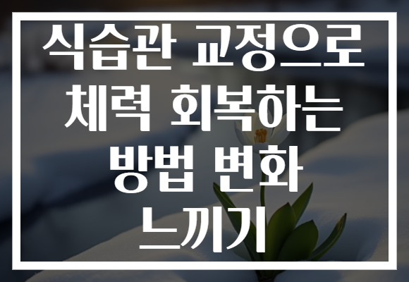 식습관 교정으로 체력 회복하는 방법 변화 느끼기