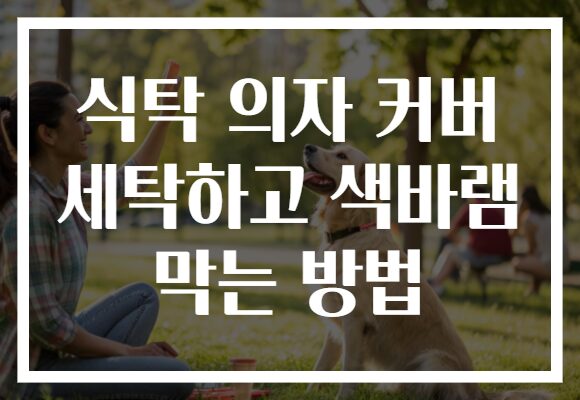 식탁 의자 커버 세탁하고 색바램 막는 방법