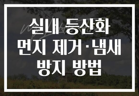 실내 등산화 먼지 제거·냄새 방지 방법