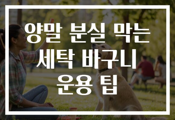 양말 분실 막는 세탁 바구니 운용 팁