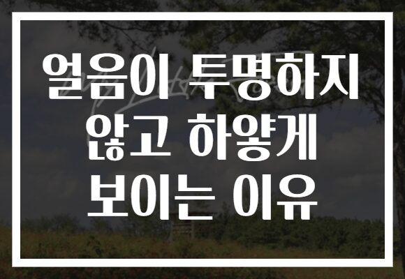 얼음이 투명하지 않고 하얗게 보이는 이유