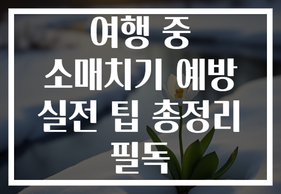 여행 중 소매치기 예방 실전 팁 총정리 필독