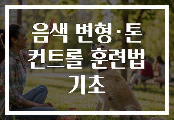 음색 변형·톤 컨트롤 훈련법 기초