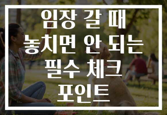 임장 갈 때 놓치면 안 되는 필수 체크 포인트