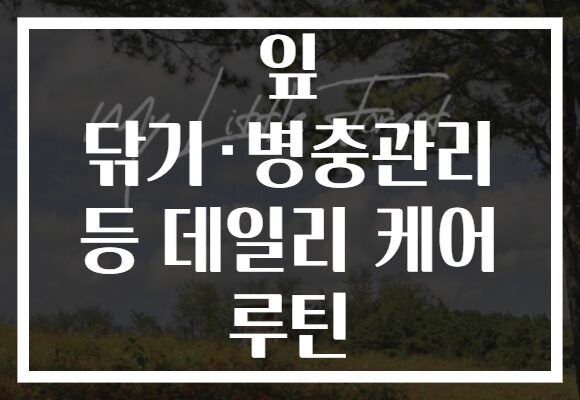 잎 닦기·병충관리 등 데일리 케어 루틴