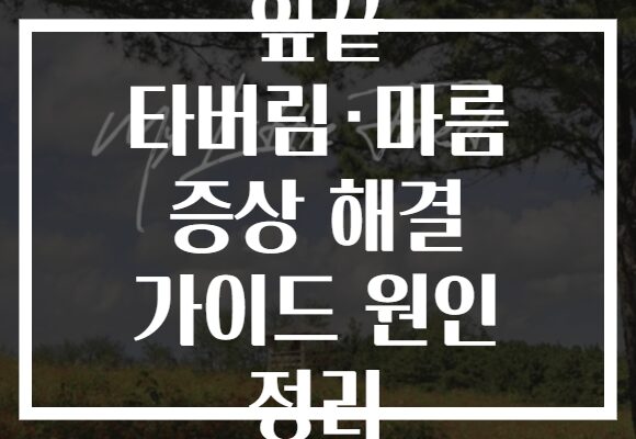 잎끝 타버림·마름 증상 해결 가이드 원인 정리