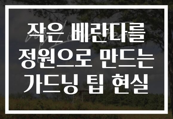 작은 베란다를 정원으로 만드는 가드닝 팁 현실