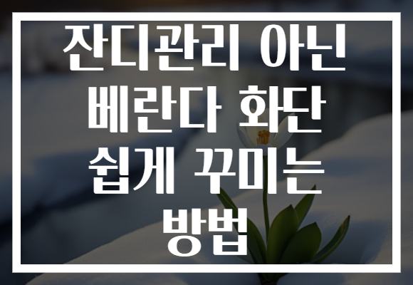 잔디관리 아닌 베란다 화단 쉽게 꾸미는 방법