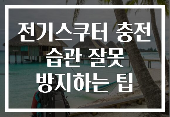 전기스쿠터 충전 습관 잘못 방지하는 팁
