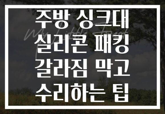 주방 싱크대 실리콘 패킹 갈라짐 막고 수리하는 팁