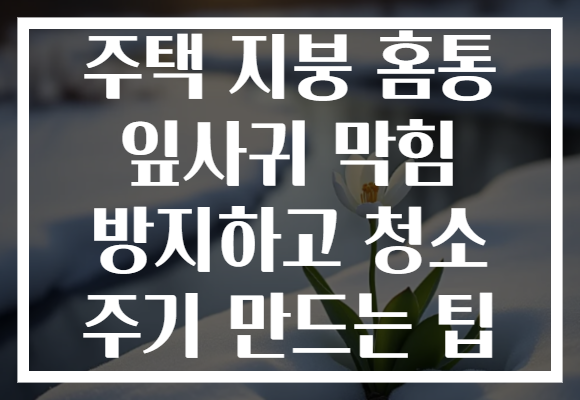 주택 지붕 홈통 잎사귀 막힘 방지하고 청소 주기 만드는 팁