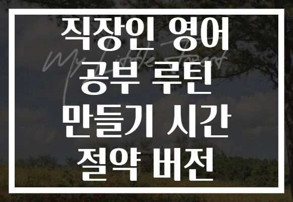 직장인 영어 공부 루틴 만들기 시간 절약 버전