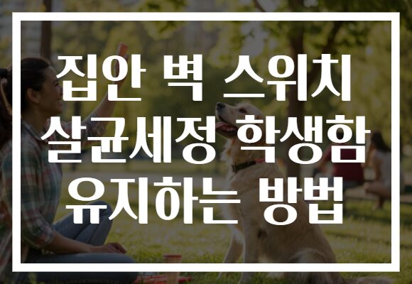 집안 벽 스위치 살균세정 학생함 유지하는 방법