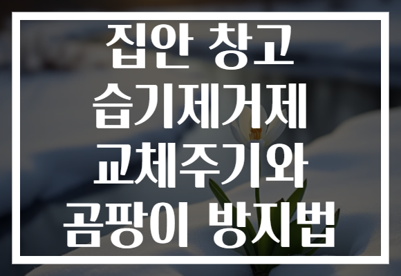 집안 창고 습기제거제 교체주기와 곰팡이 방지법