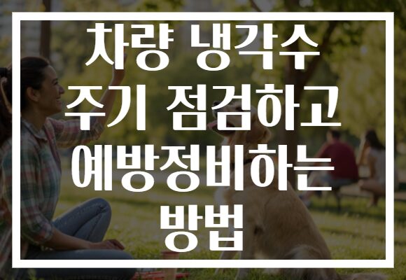 차량 냉각수 주기 점검하고 예방정비하는 방법