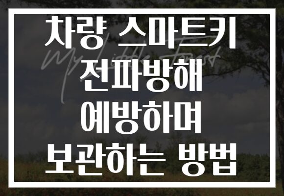 차량 스마트키 전파방해 예방하며 보관하는 방법