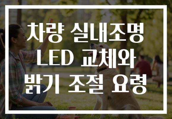 차량 실내조명 LED 교체와 밝기 조절 요령