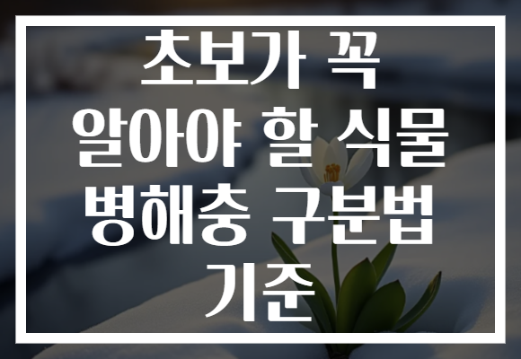 초보가 꼭 알아야 할 식물 병해충 구분법 기준