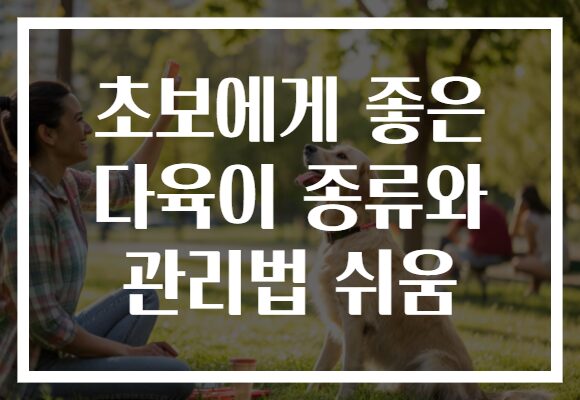 초보에게 좋은 다육이 종류와 관리법 쉬움