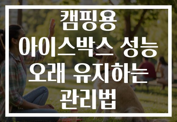 캠핑용 아이스박스 성능 오래 유지하는 관리법