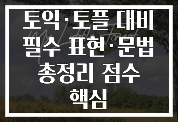 토익·토플 대비 필수 표현·문법 총정리 점수 핵심