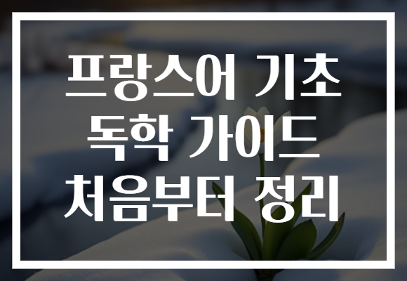 프랑스어 기초 독학 가이드 처음부터 정리