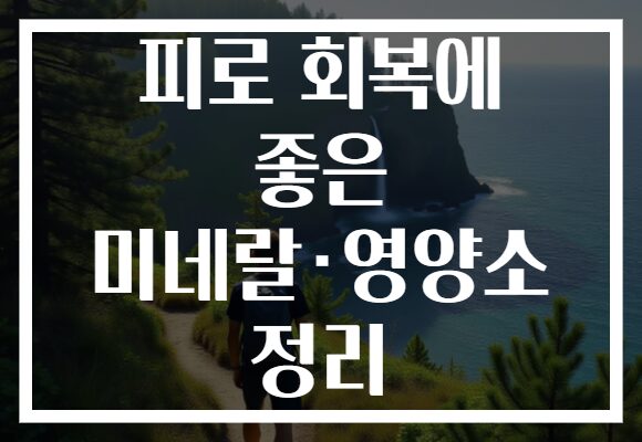피로 회복에 좋은 미네랄·영양소 정리