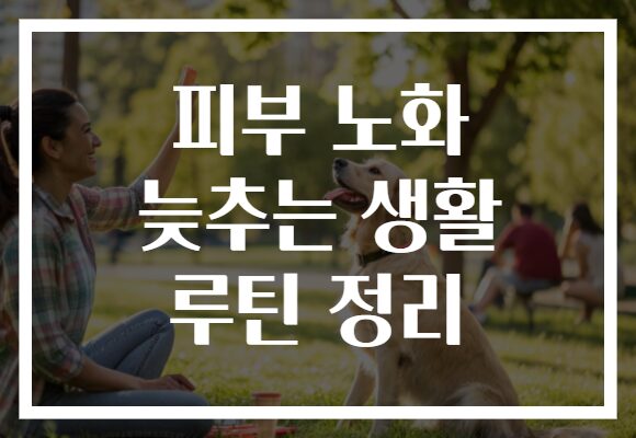 피부 노화 늦추는 생활 루틴 정리