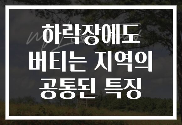 하락장에도 버티는 지역의 공통된 특징