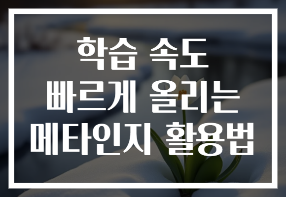 학습 속도 빠르게 올리는 메타인지 활용법