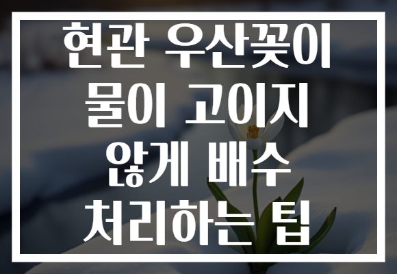 현관 우산꽂이 물이 고이지 않게 배수 처리하는 팁