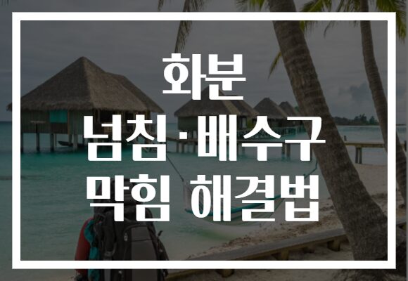 화분 넘침·배수구 막힘 해결법