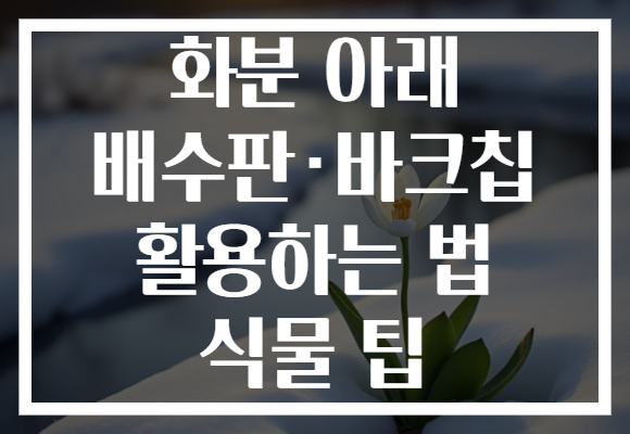 화분 아래 배수판·바크칩 활용하는 법 식물 팁