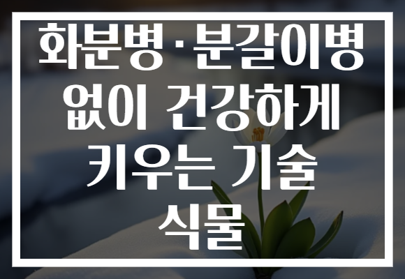 화분병·분갈이병 없이 건강하게 키우는 기술 식물