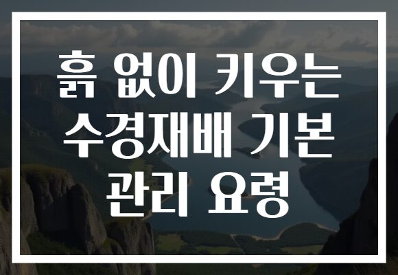 흙 없이 키우는 수경재배 기본 관리 요령