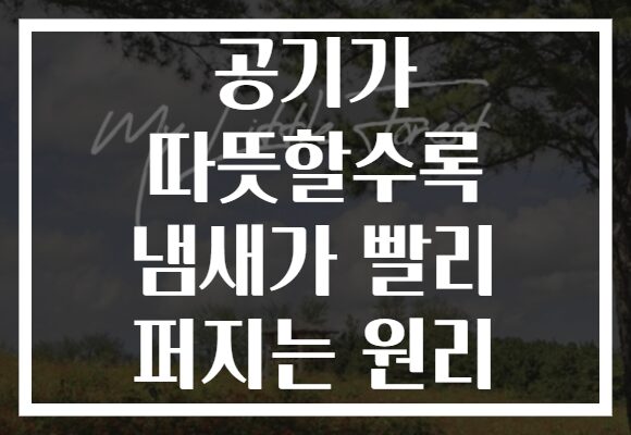 공기가 따뜻할수록 냄새가 빨리 퍼지는 원리