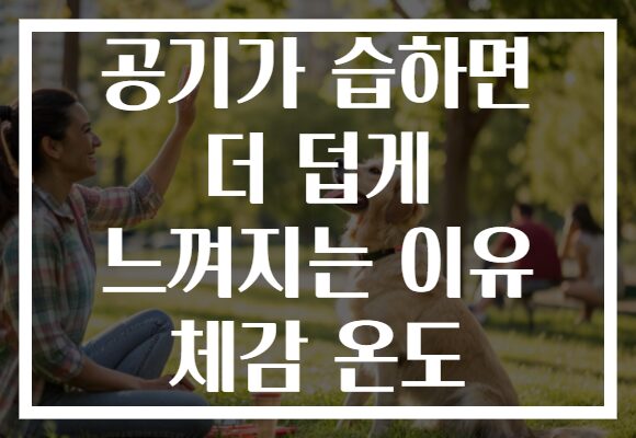 공기가 습하면 더 덥게 느껴지는 이유 체감 온도