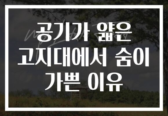 공기가 얇은 고지대에서 숨이 가쁜 이유
