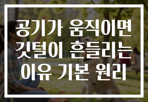 공기가 움직이면 깃털이 흔들리는 이유 기본 원리