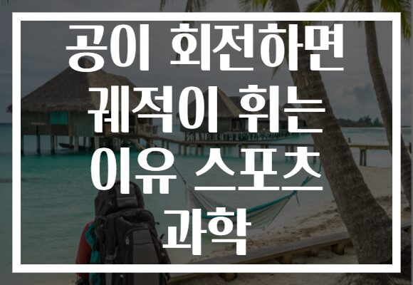 공이 회전하면 궤적이 휘는 이유 스포츠 과학