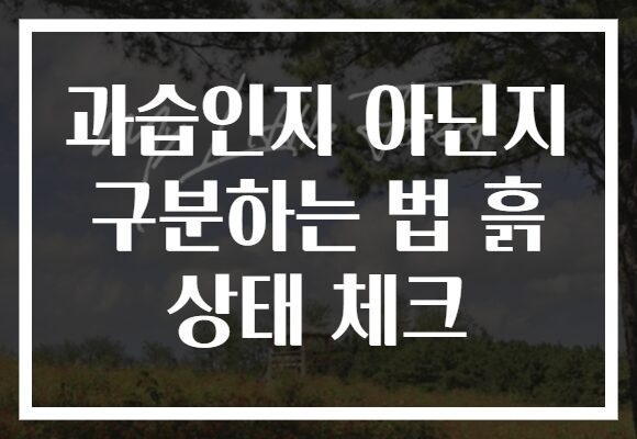 과습인지 아닌지 구분하는 법 흙 상태 체크