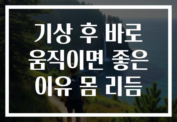 기상 후 바로 움직이면 좋은 이유 몸 리듬