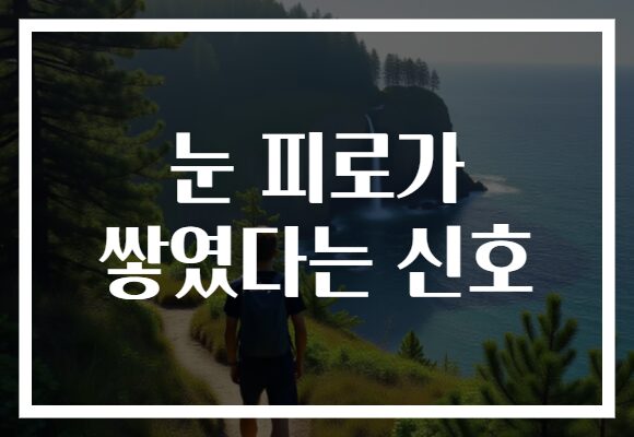 눈 피로가 쌓였다는 신호