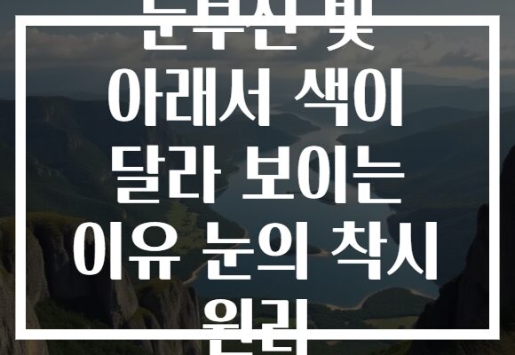 눈부신 빛 아래서 색이 달라 보이는 이유 눈의 착시 원리