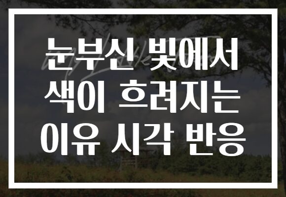 눈부신 빛에서 색이 흐려지는 이유 시각 반응